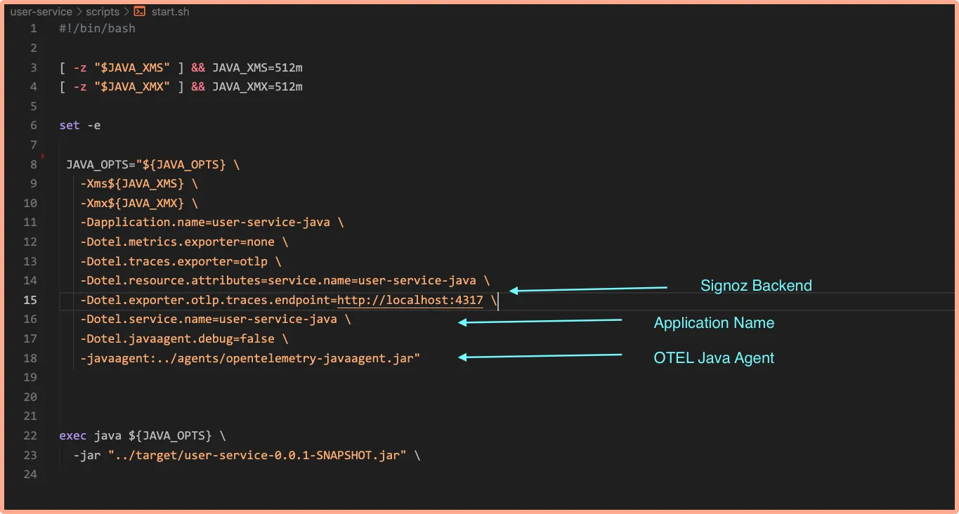 Code in scripts file